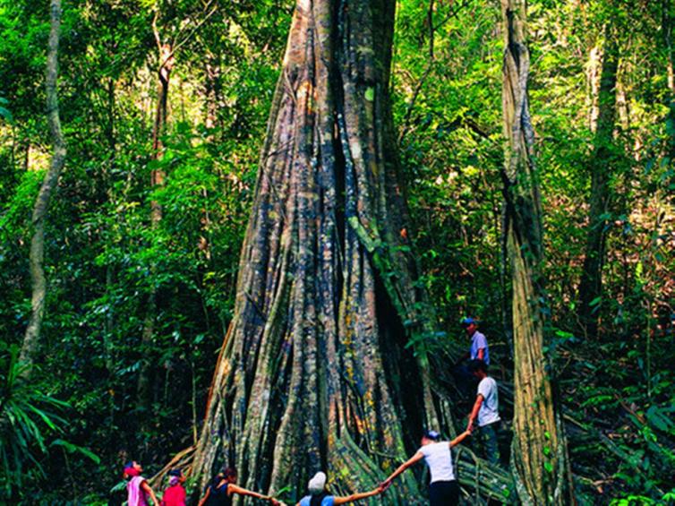 雨林谷私藏自驾游景点推荐，去雨林谷自驾游体验不一样的风土人情！