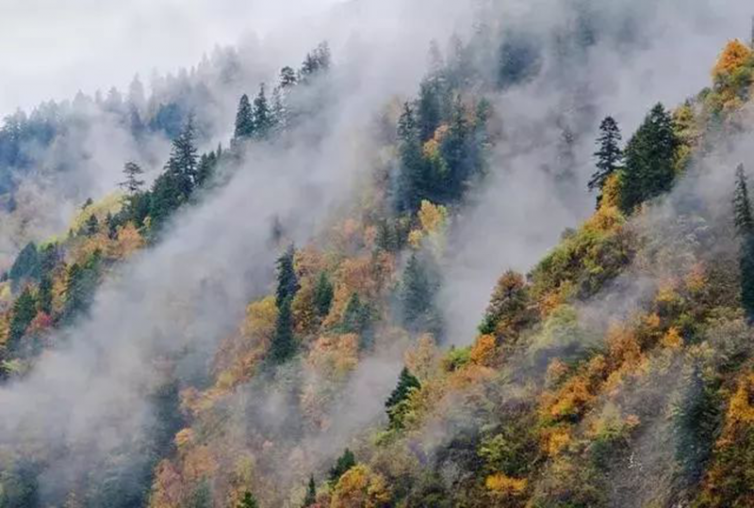成都出发阿坝州最美川西自驾游路线推荐，赏彩叶林里最美的私藏—藏寨！