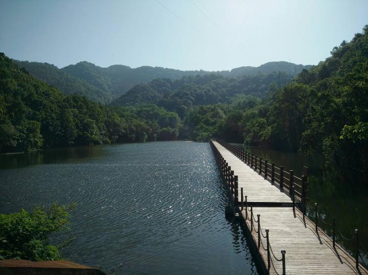 6个河南省内探索大自然自驾游景点最全攻略，暑假河南周边自驾游去哪好玩