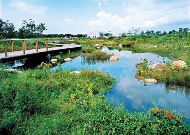 适合夏季天津周边自驾游的6处被人遗忘的绝美湿地公园，赶紧收藏起来