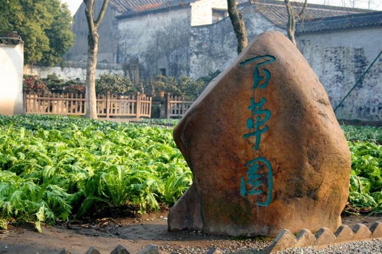 浙江绍兴的自驾游线路推荐，一定不要错过的几个古香古色的景点
