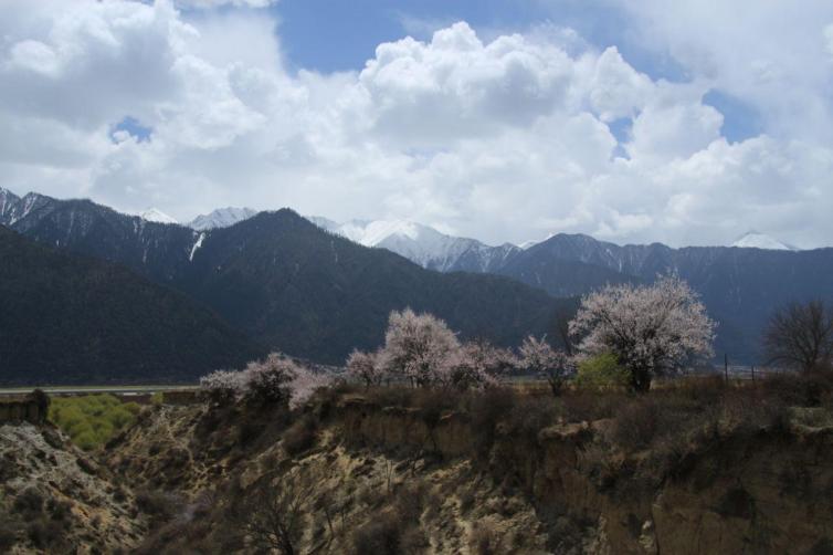西藏自驾游最受欢迎的9大景点，西藏自驾游景点推荐及注意事项