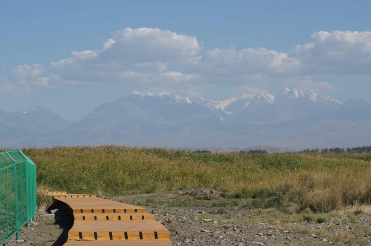 新疆自驾游最值得去的景点都在这儿了，想去新疆自驾游的小伙伴建议收藏！