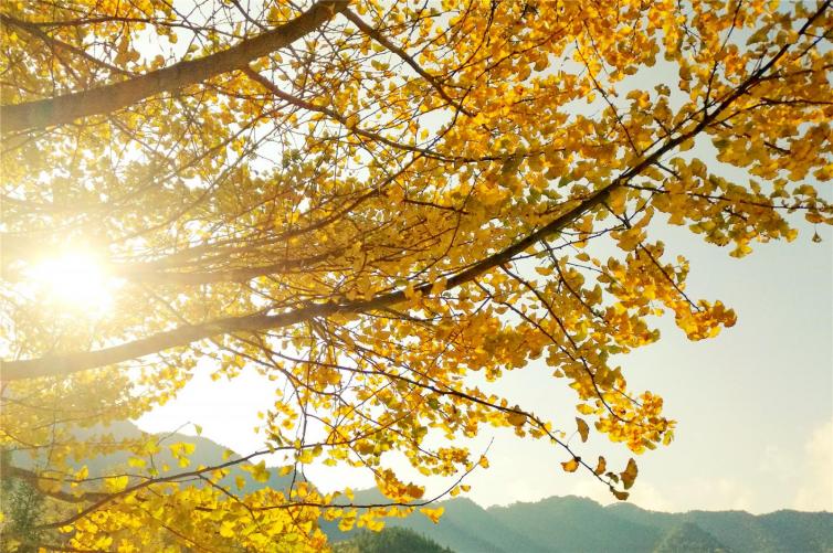 秋季湖南自驾游最美景点线路推荐，湖南五大超美的自驾胜地