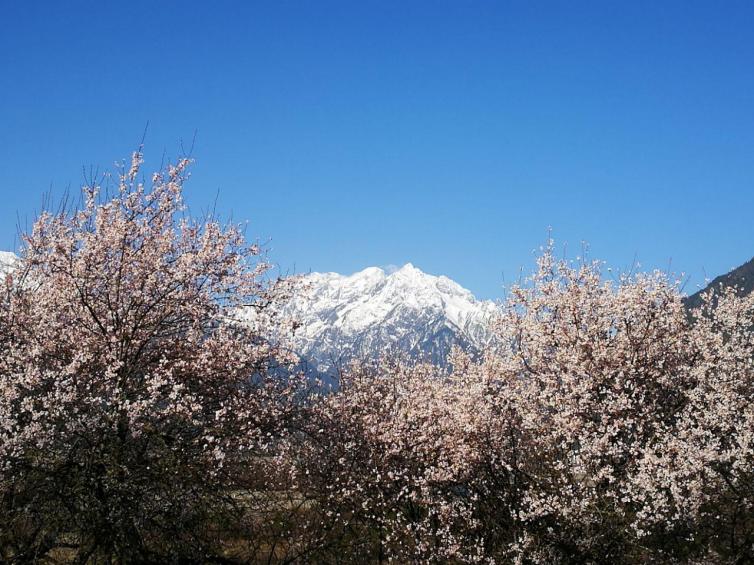 3月西藏自驾游去哪好玩，春天西藏最值得一去的景点推荐