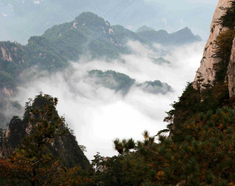 10个河南省内探索大自然自驾游景点最全攻略暑假河南周边自驾游去哪玩