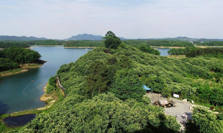 五一河南最美的7个湖泊自驾游好去处推荐，河南周边自驾游经典线路推荐
