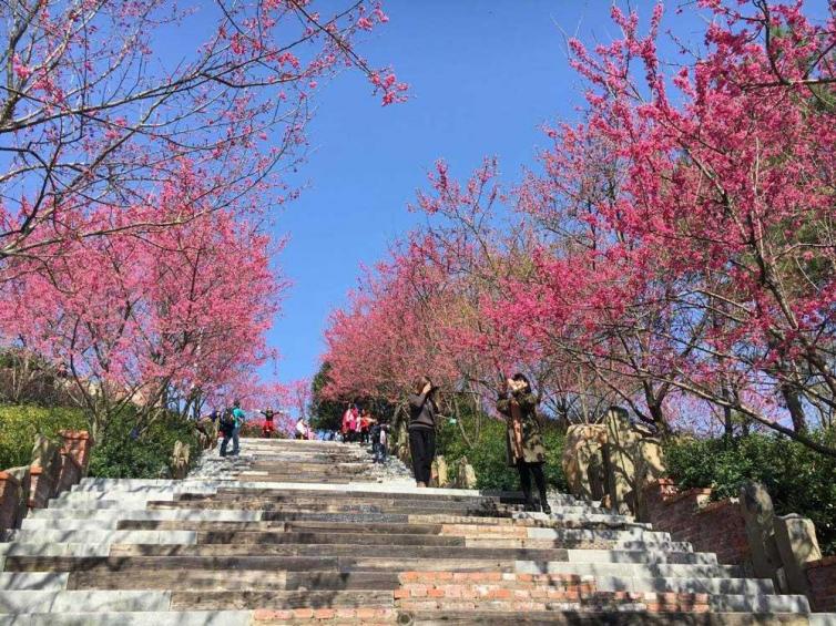 华东篇|春节自驾游去哪儿，不必远行就能赏景/感受年味的8个绝美自驾游好去处