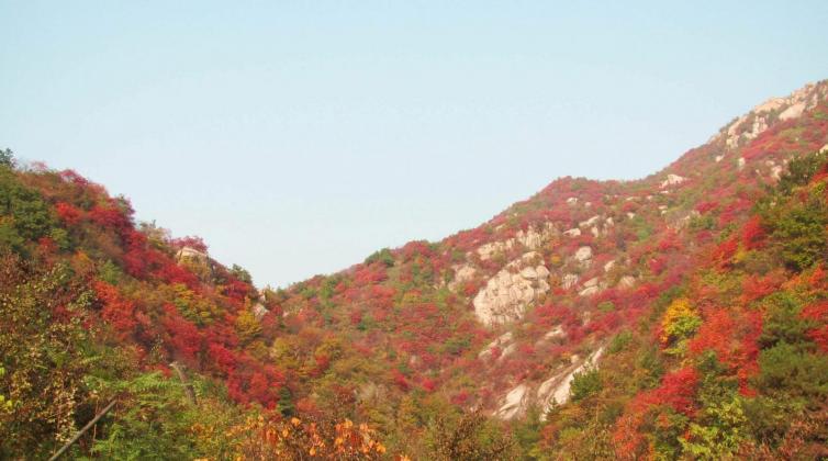8个河南出发登山望远赏秋/深入大自然自驾游的路线景点推荐