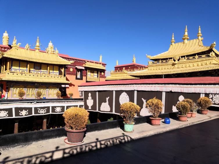 第一次去西藏藏自驾游的朋友们，西藏自驾游3大必去目的地和4大景点推荐