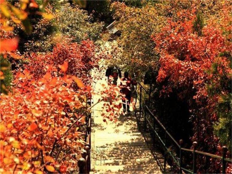 秋季北自驾游路线景点攻略，周末北京出发自驾赏红叶好去处推荐