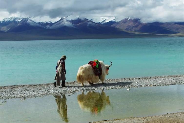 春节西藏自驾游去哪里好玩？6大西藏经典自驾游景点，一个都不想错过