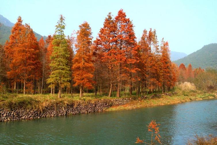 秋天江浙沪必去自驾游景点推荐，秋天最美的风景都在这里