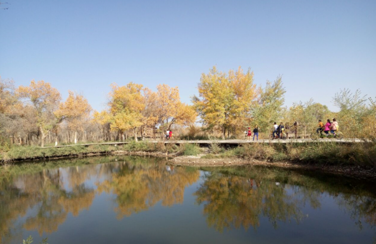 新疆自驾游一定要去的八大景点，这几个新疆最美景区你知道几处？
