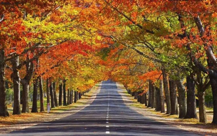 适合秋季沈阳周边自驾游的公路推荐，沈阳出发7大绝美自驾游公路收罗