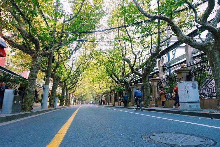 上海市内必去的赏秋自驾游景点有哪些，这6个上海市内小众赏秋胜地让您重新认识上海之美