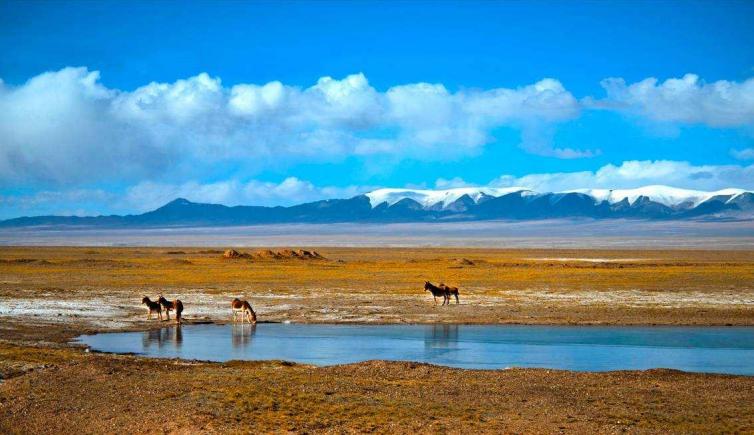 西藏自驾游什么时候去最合适？这份西藏最美自驾游时间表赶紧收藏起来吧