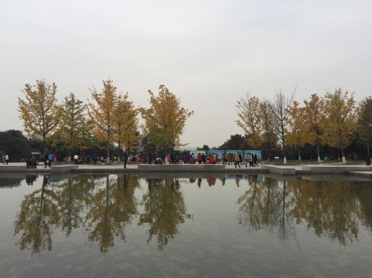 秋天重庆周边自驾一日游9条路线推荐，重庆自驾游哪里好玩?
