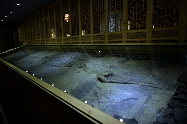 兴伟古生物化石博物馆