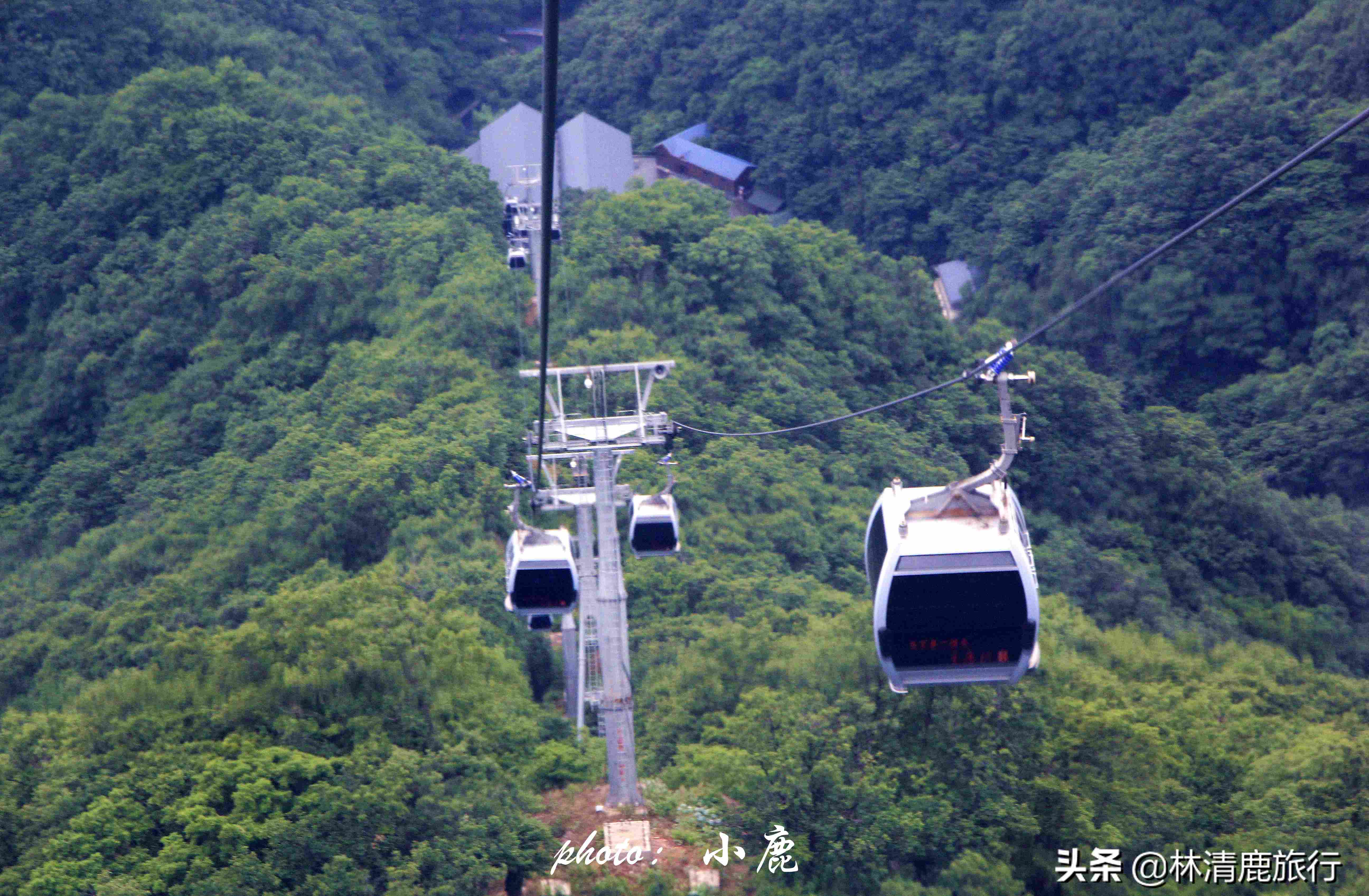 大赞！河南这家著名4A级景区，不但门票免费，连往返索道也免费