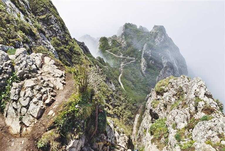 莲花山半山险峻半山幽