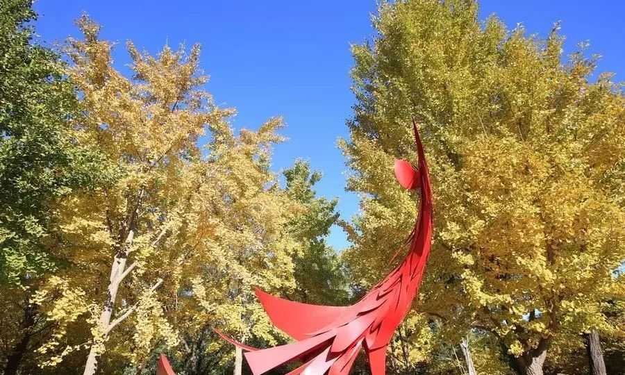 看秋景，看雕塑，石景山北京国际雕塑公园满足你