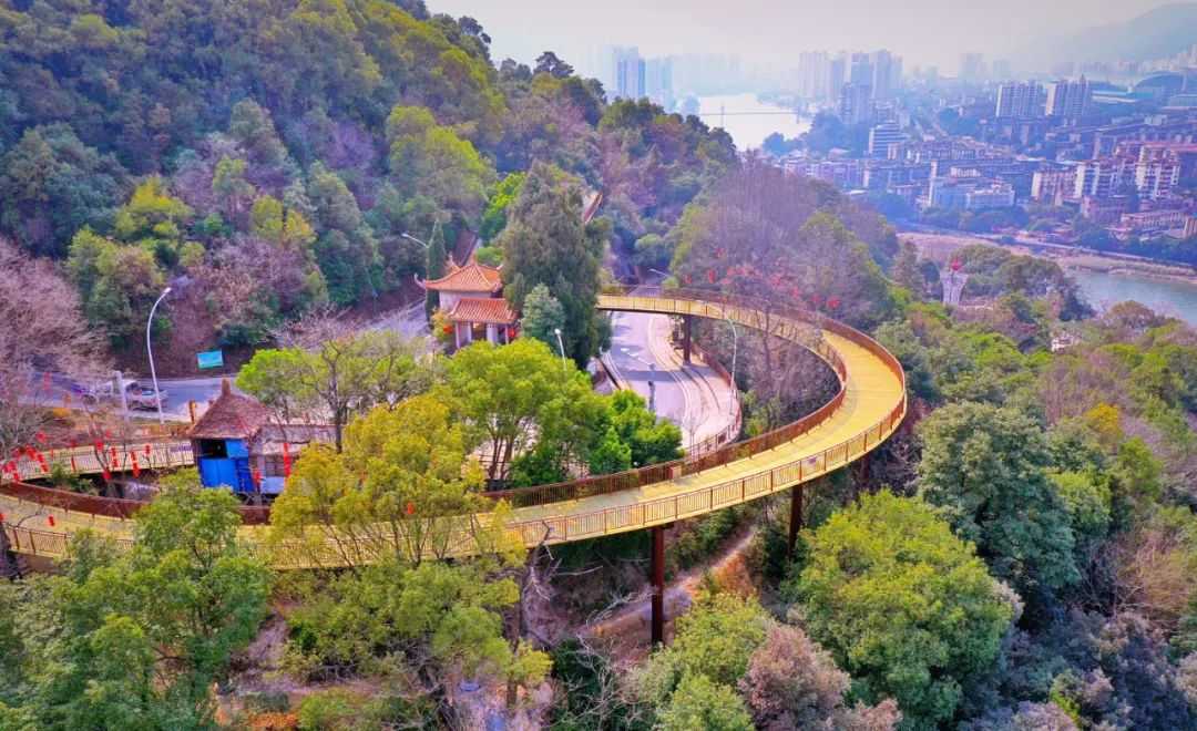 麒麟山公园改造提升,具体怎么建?欢迎你来提建议!(附方案效果图)