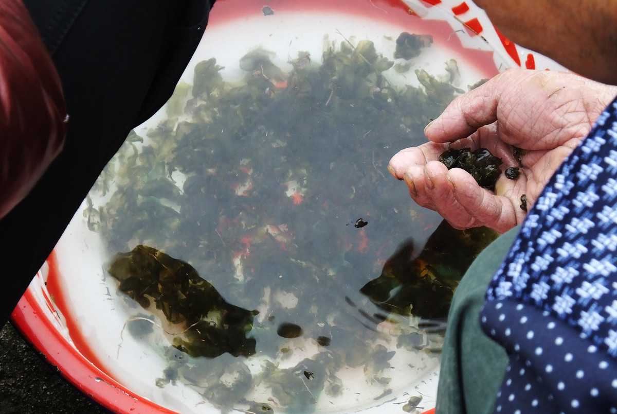 吃货必看,外地朋友最喜欢吃这些恩施美食,前十位