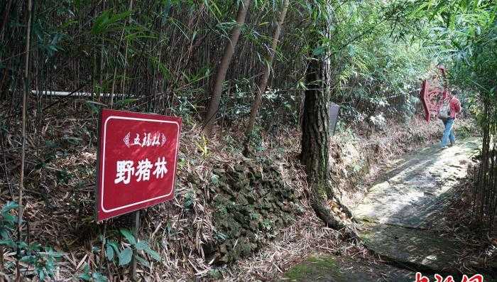 广东观音山国家森林公园打造绿色生态屏障