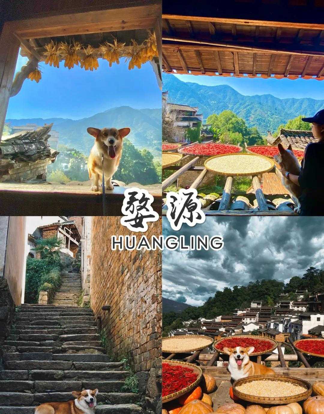 婺源深秋短途旅游攻略,这几个地方一定要去