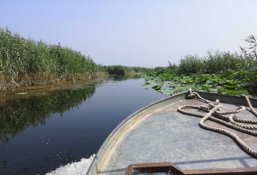 白洋淀坐船、钓鱼、吃农家乐,3个人玩一天200块钱