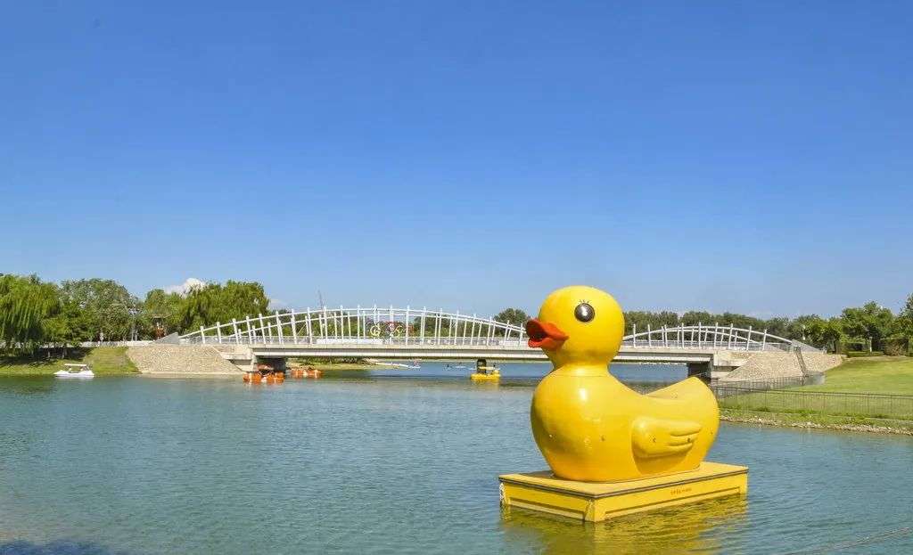 炎炎夏日，去京城这些水上乐园清凉一“夏”吧~