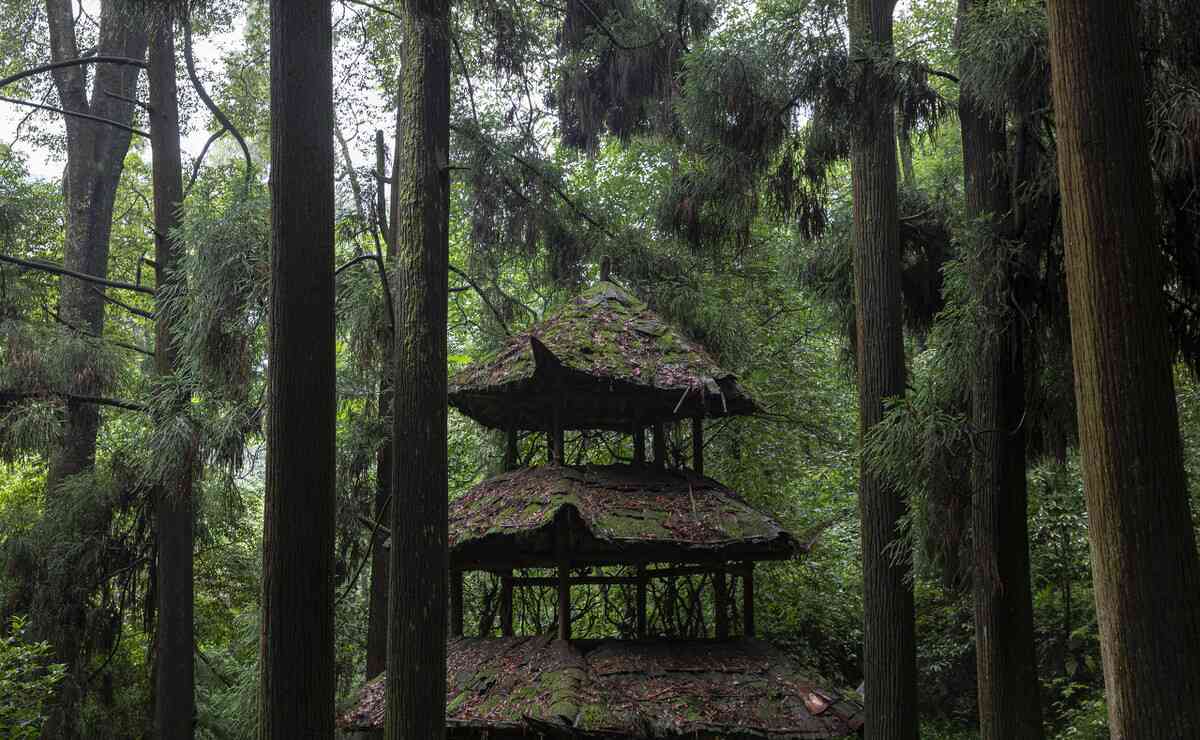 四川盛夏,有多少极致风光?四川这9大绝美景点,你都去过几个?