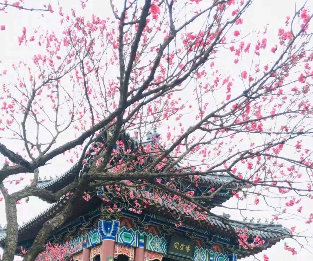 冬天去南京不要错过这十个好地方，简直美不胜收