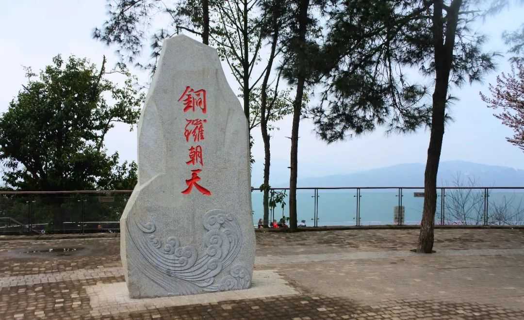 重庆踏青赏花,春天必去的铁山坪,今年又开新景点啦