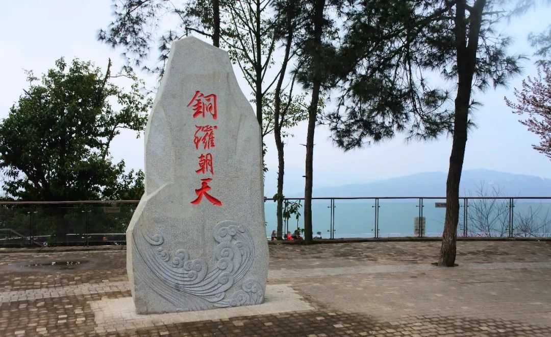 重庆踏青赏花，春天必去的铁山坪，今年又开新景点啦