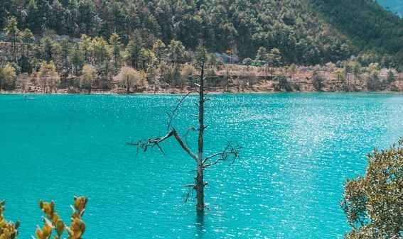 云南都有哪些比较著名的景点，云南旅游攻略必去景点顺序