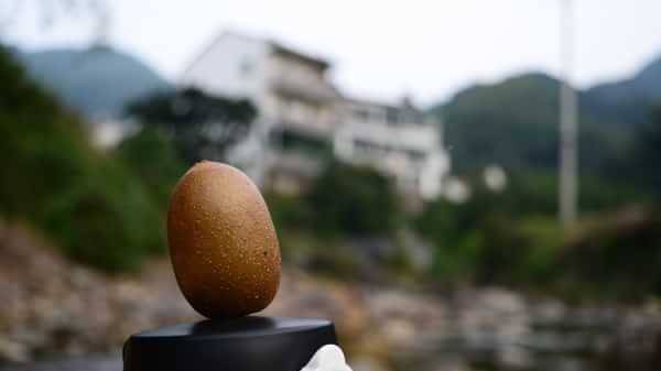 普通的行走,普通的东白山,普通的日出,普通的我~