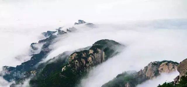 河南十大最高峰这三座5A景区各占一个,这个季节美成了林海雪原