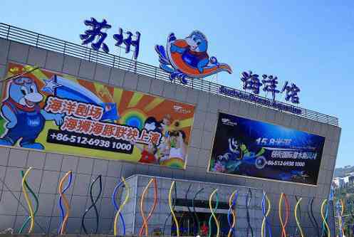 苏州海洋馆,感受海洋馆的神奇与魅力