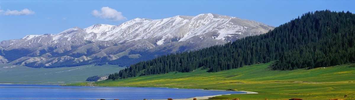新疆伊犁那么美，只有7天时间，7天怎么游伊犁？