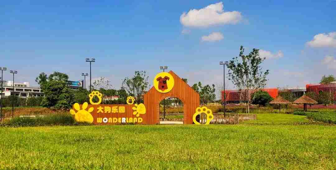 太好玩!萌宠、野餐、出片…这个乐园简直就是天堂