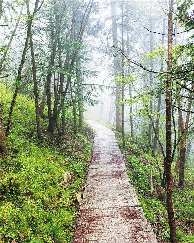 莲花山半山险峻半山幽