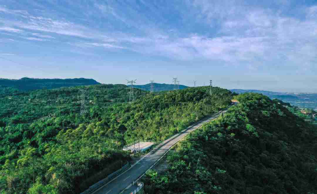 最高处23.8米！龙泉山森林公园“高空栈道”来了，预计今年9月竣工！