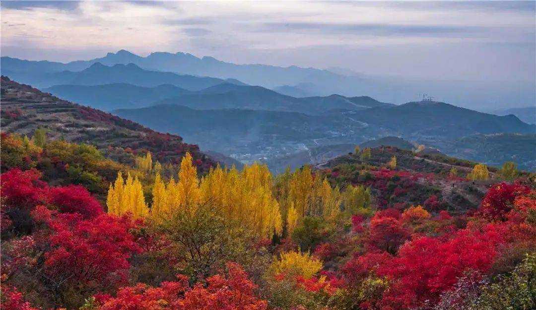 自驾游河南，赏遍中原红叶，大部分免票，赶紧去这6个最美景区