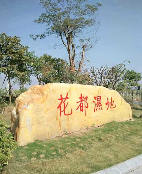 风景这边独好—走进花都湖国家湿地公园