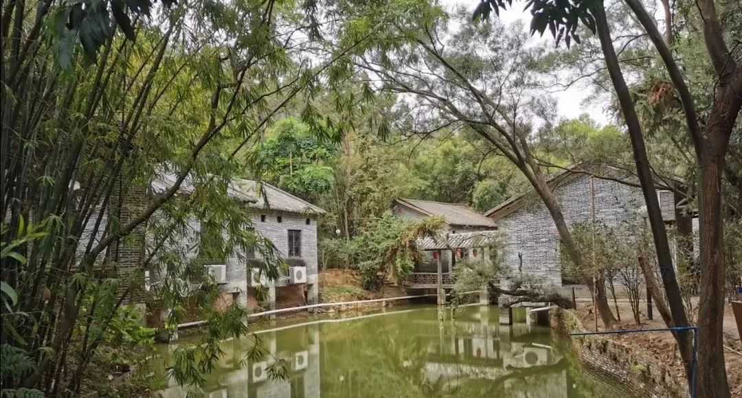收藏贴!花都这10家食地道农家菜的山庄,一定有你去过的