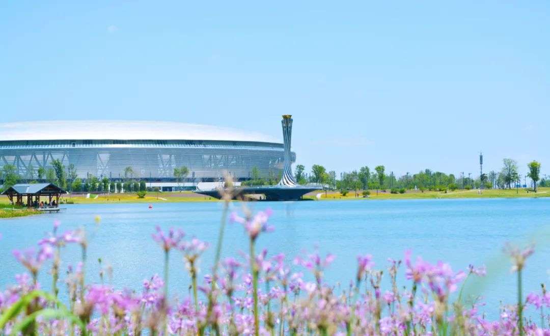 成都1日游 | 打卡龙泉千亩水域生态公园，游湖赏花、野餐休闲、玩…