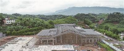 蜀南竹海创建国家5A级景区:敢教“竹海”换新妆