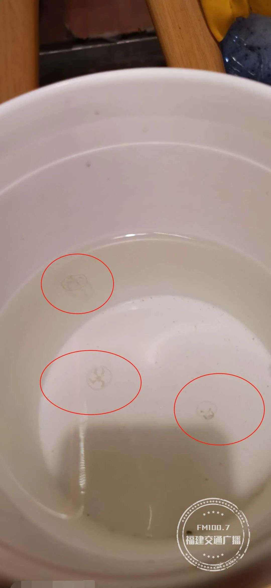罕见!福建一水库疑现“水中大熊猫”,有人出价10000元一只